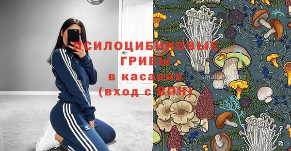 таблы Алексин