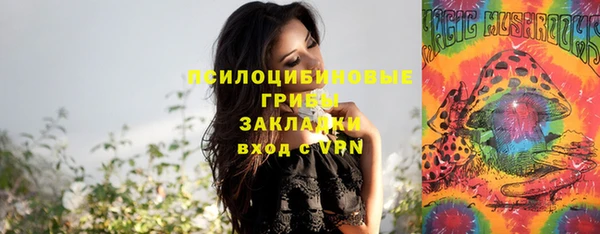 молекула духа Тавда
