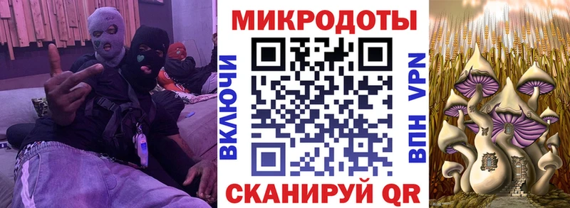 Псилоцибиновые грибы мицелий  Бабаево 